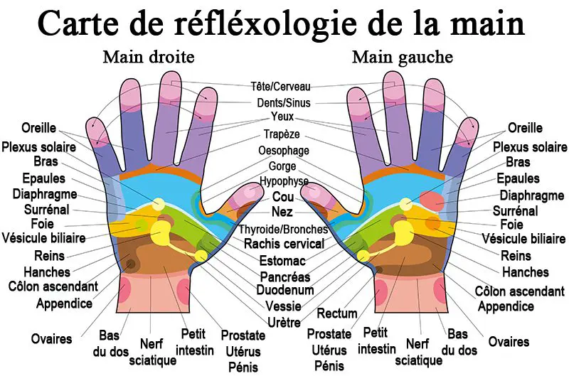 Réflexologie Réflexologie